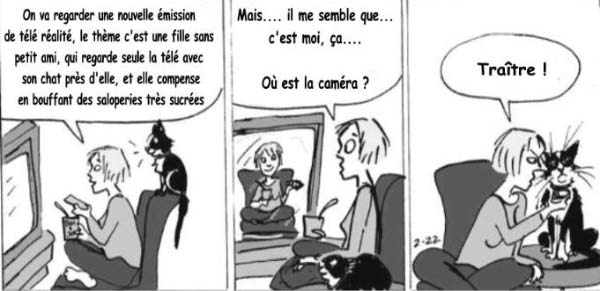 Tele realite 4-humourenvrac